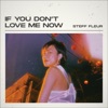 Steff Fleur - If You Don't Love Me Now