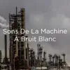 !!!" Sons De La Machine À Bruit Blanc "!!! album lyrics, reviews, download