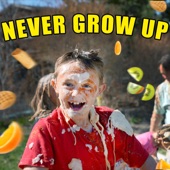 Never Grow Up artwork