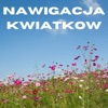 Nawigacja Kwiatkow - Single