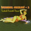 İstanbul Geceleri, Vol. 2 (Turkish Orential Dance)