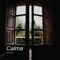 Calma artwork