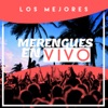 Los Mejores Merengues en Vivo, 1980