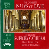 The Complete Psalms of David, Vol. 2 artwork