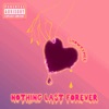 Nothing Last Forever - Single