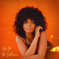 THE EXPERIENCE cover art
