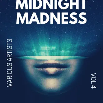 Midnight Madness, Vol. 4 by Various Artists album reviews, ratings, credits