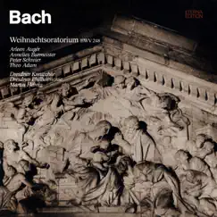 Christmas Oratorio, BWV 248, Part III: VI. Herr, dein Mitleid Song Lyrics