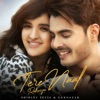 Tere Naal Rehniya - Single