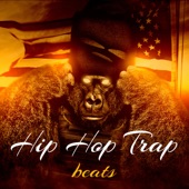 Hip Hop Trap Beats artwork