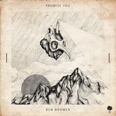 Promise You