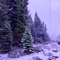 New Hampshire - Sorry Ghost lyrics