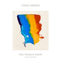 ONE DAY YOU FINALLY KNEW cover art