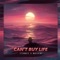 Can't Buy Life artwork