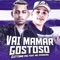 Vai Mamar Gostoso (feat. Mc Pikachu) - Cleytinho Paz lyrics