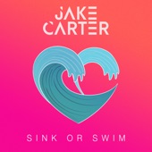 Sink or Swim artwork