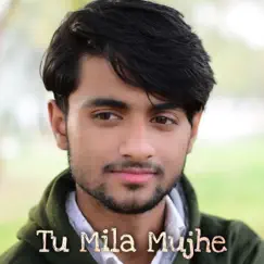 Tu Mila Mujhe (feat. Rishika Srivastava) Song Lyrics