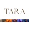 The Musical Priest - Tara lyrics