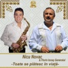 Toate Se Platesc In Viata (Paharele) - Single