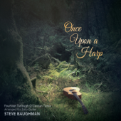 Once Upon a Harp - Steve Baughman