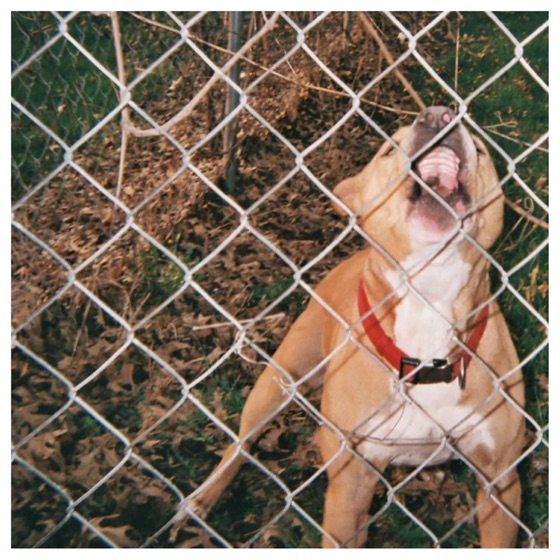 Cover artwork for Small Victories