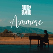 Ammore artwork