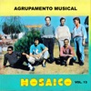 Agrupamento Musical Mosaico, Vol. 13