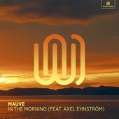 In the Morning (feat. Axel Ehnström) artwork