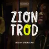 Zion Trod (Extended Mix) - Single album lyrics, reviews, download