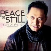 Peace Be Still artwork