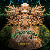 Codex VI - Shpongle