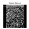 A Pyre of Black Sunflowers (feat. Bleaeck) - Saul Evals lyrics