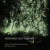 Nothing Last Forever (feat. Rami Ourabi & Petros Klampanis) - Single album lyrics, reviews, download
