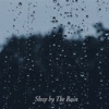 Sleep By the Rain