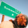 half•alive - Summerland