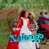 Nalongo - Single