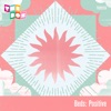 Ben Haynes - Transition