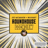 Des McMahon, WAVHART - Roundhouse