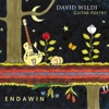 David Wildi Guitar Poetry - Jackfish
