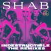 Indestructible (The Remixes) - Single