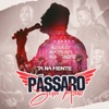 Pássaro Sem Asas (Ao Vivo) - Single