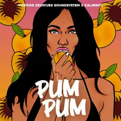 Pumpum - Single by Vunzige Deuntjes Soundsystem & Kalibwoy album reviews, ratings, credits