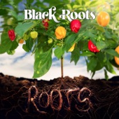 Black Roots - So Many Things