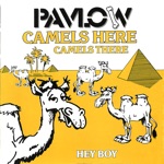 Pavlow - Hey Boy