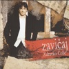 Zavicaj