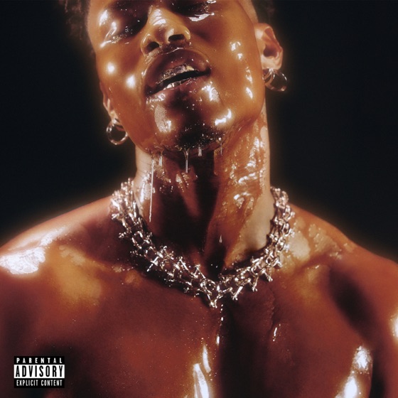 Cover artwork for Fever