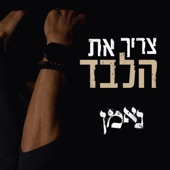 נאמן - צריך את הלבד artwork