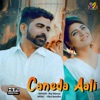 Caneda Aali (feat. Kuldeep Foji & Sonika Singh) - Single