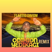 Odihionyedikagi (Remix) artwork