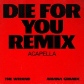 Die For You (Remix Acapella) artwork